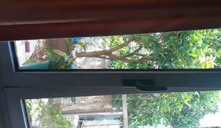 Апартаменты Studio Bella Будва Апартаменты с 1 спальней-13