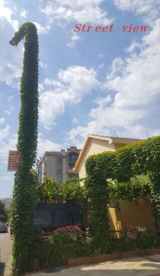 Апартаменты Studio Bella Будва Апартаменты с 1 спальней-50